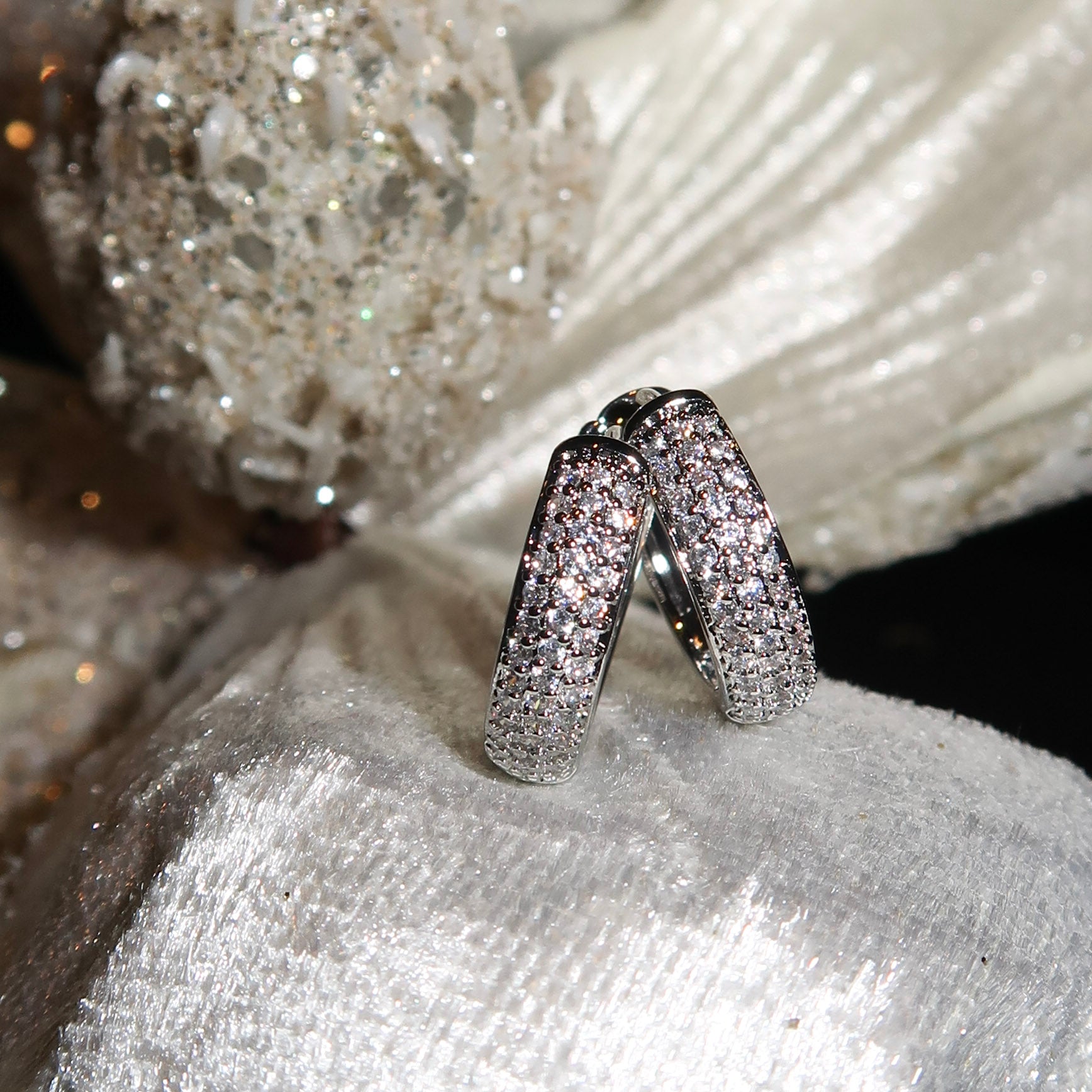 EARRING OF THE MONTH - Silver