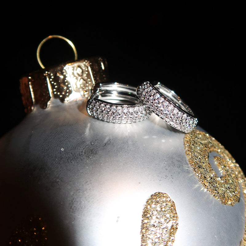 EARRING OF THE MONTH - Silver